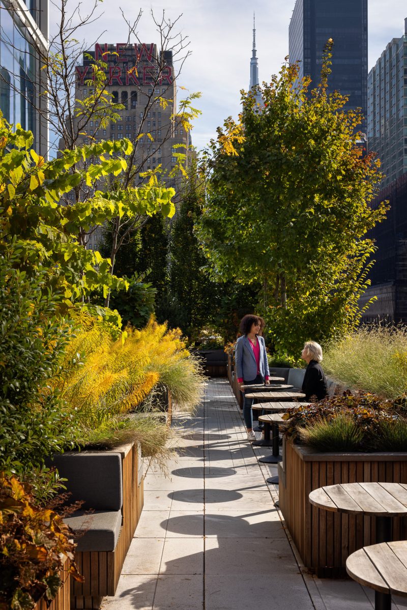 Peloton Headquarters Terrace, NYC, Architecture, Mike Van Tassell
