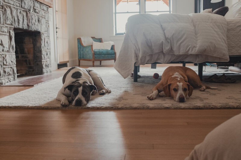 Behind the scenes capturing an interior design photoshoot with Van Tassell Photography