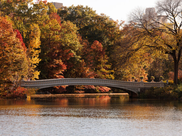 Bow Bridge, Central Park, NYC