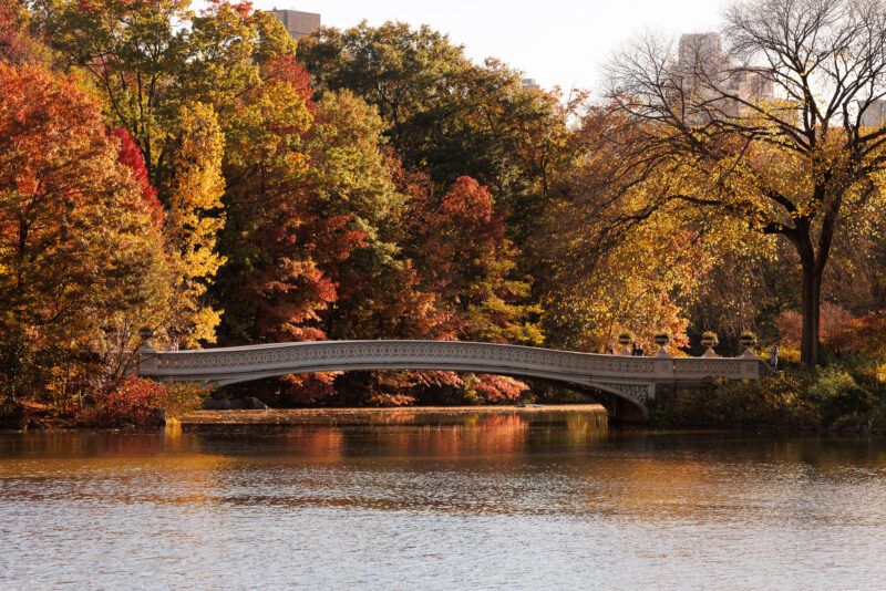 Bow Bridge, Central Park, NYC