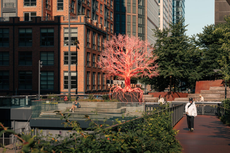 Old Tree, New York City High Line Plinth by Pamela Rosenkranz