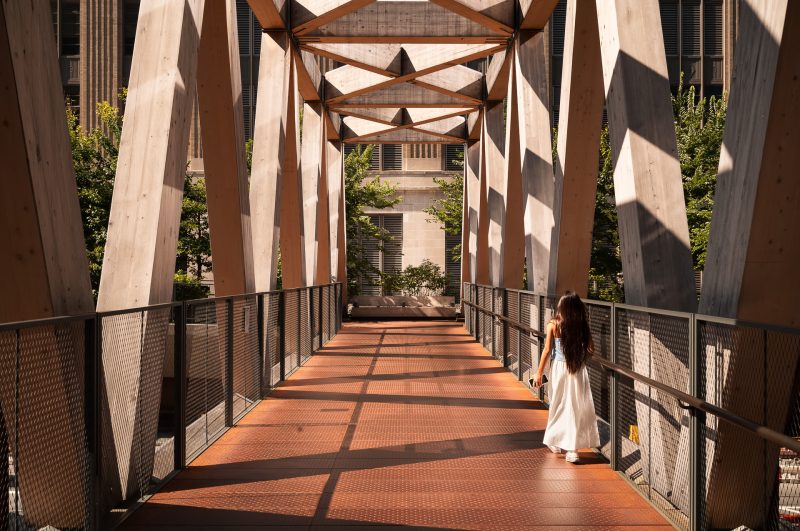 High Line Timber Bridge, NYC